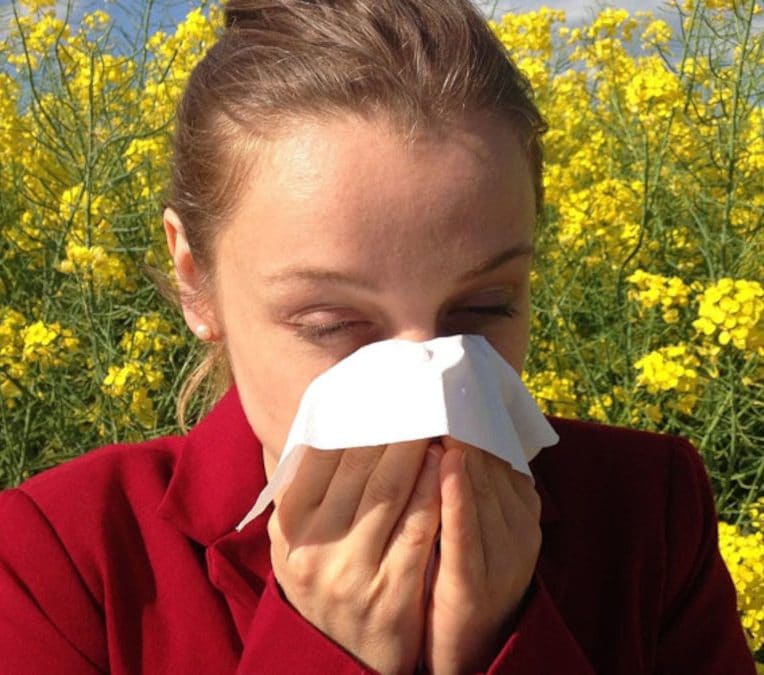 causes allergies