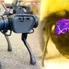 cerveau artificiel inspire insectes