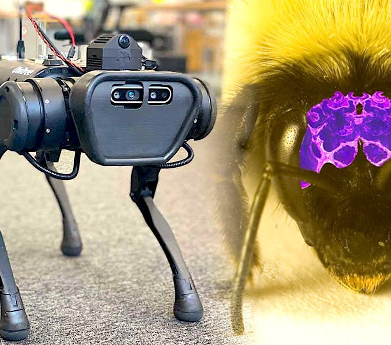 cerveau artificiel inspire insectes