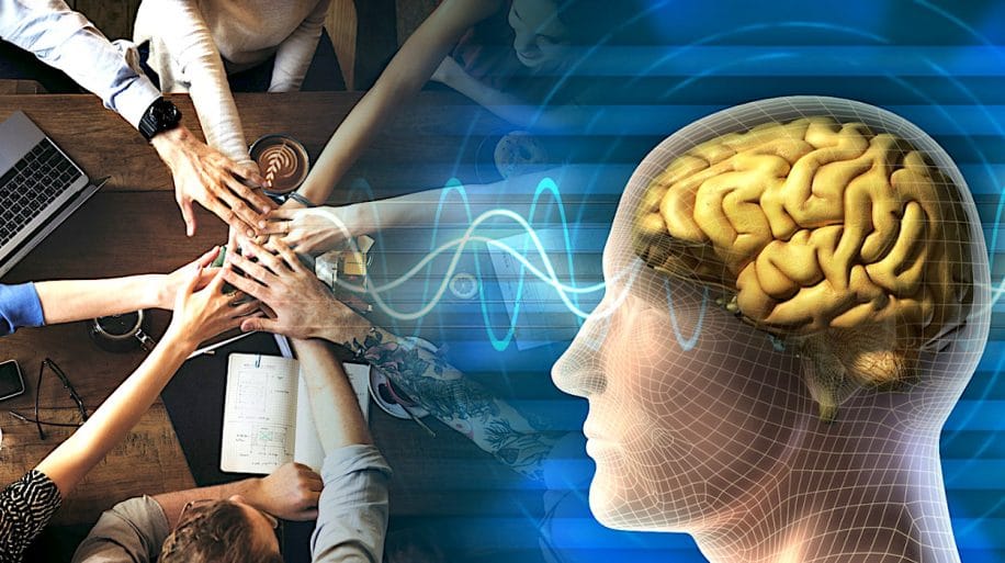 chercheurs identifient etats cerebraux propres travail equipe