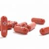 covid pilule antivirale merck reduirait moitie hospitalisations