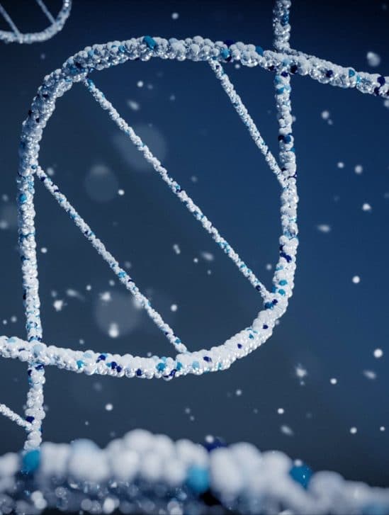 édition gènes CRISPR amélioration
