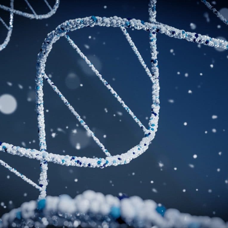 édition gènes CRISPR amélioration