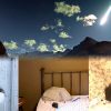 femme failli etre tuee par meteorite ecrasee sur son lit
