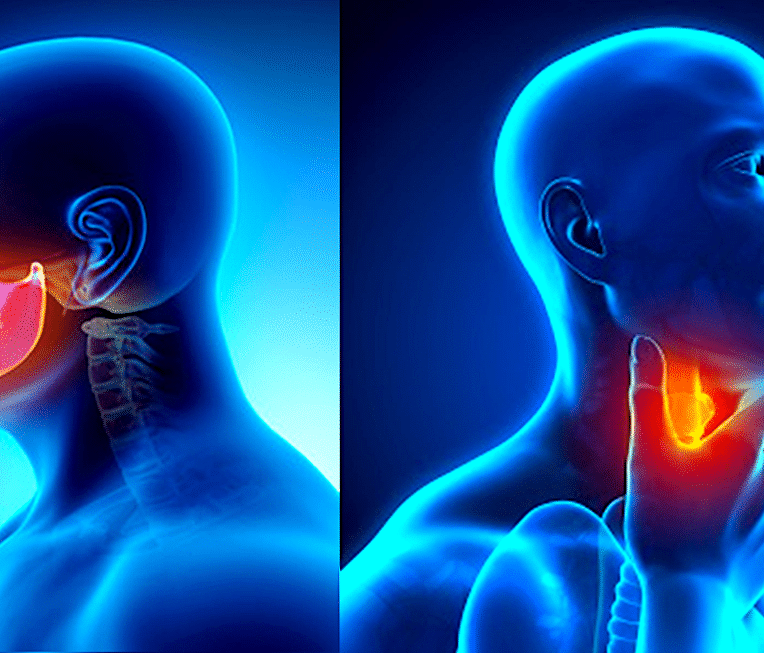 nouveau traitement eradique certains cancers phase terminale