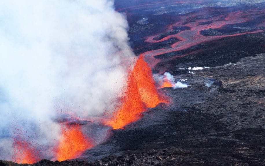 panache magma arbre