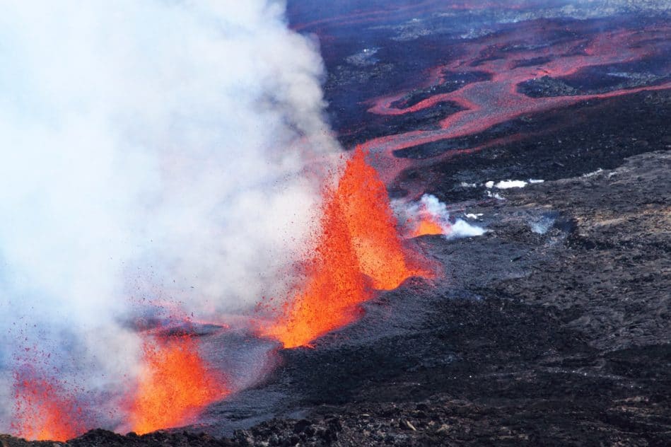 panache magma arbre