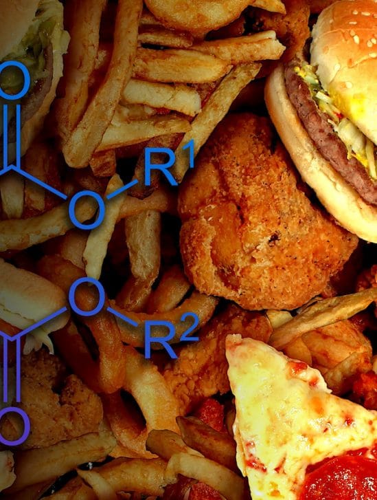 principaux fast foods produits perturbant hormones