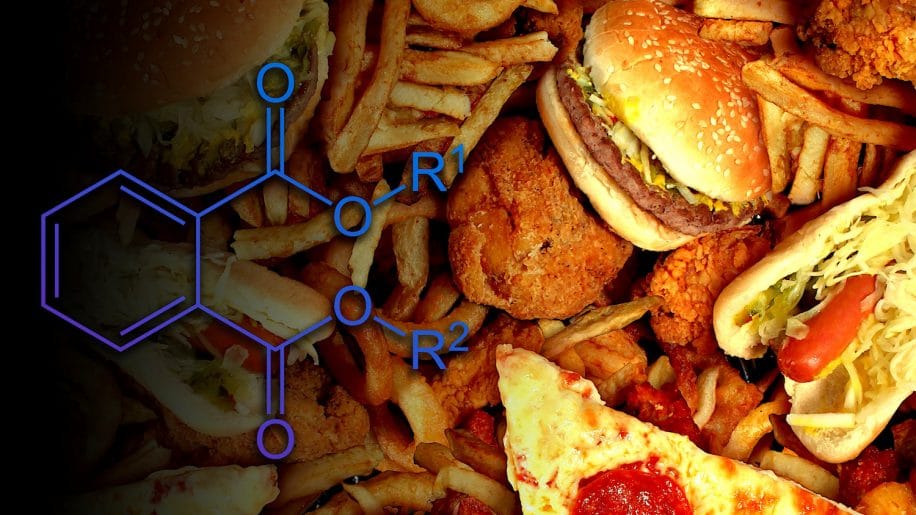 principaux fast foods produits perturbant hormones