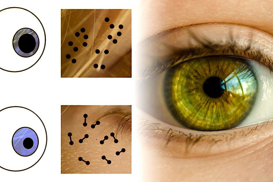 pupille reagit informations numeriques etude
