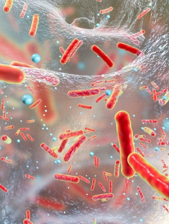 nouveaux antibiotiques naturels peptides génome