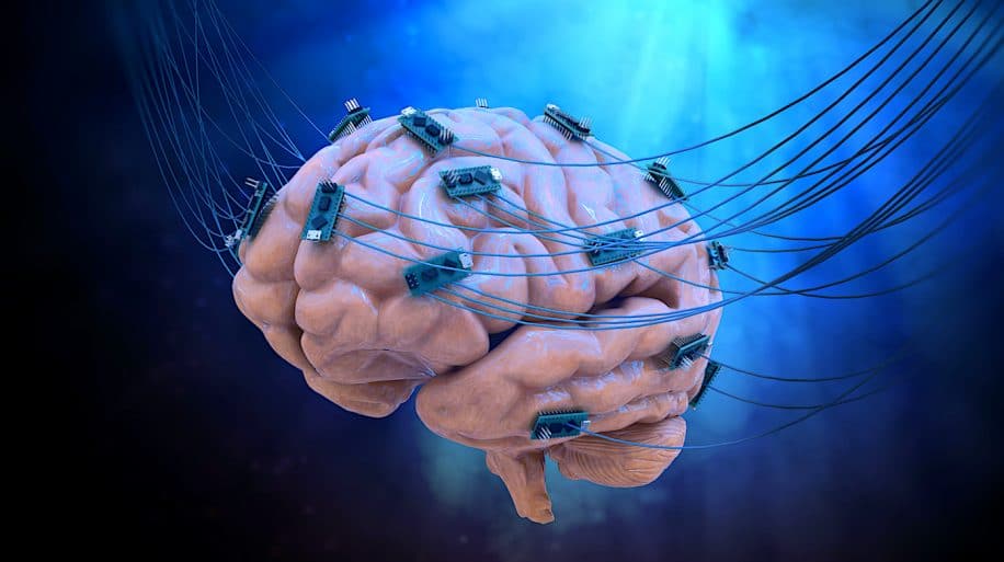chercheurs ameliorent fonctions cognitives humaines par stimulation cerebrale