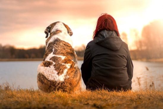 etude suggere comment prolonger naturellement vie chien