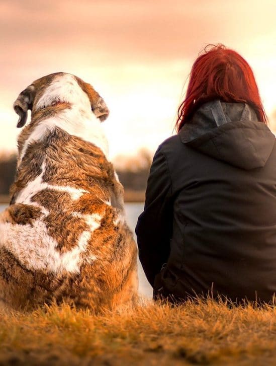 etude suggere comment prolonger naturellement vie chien