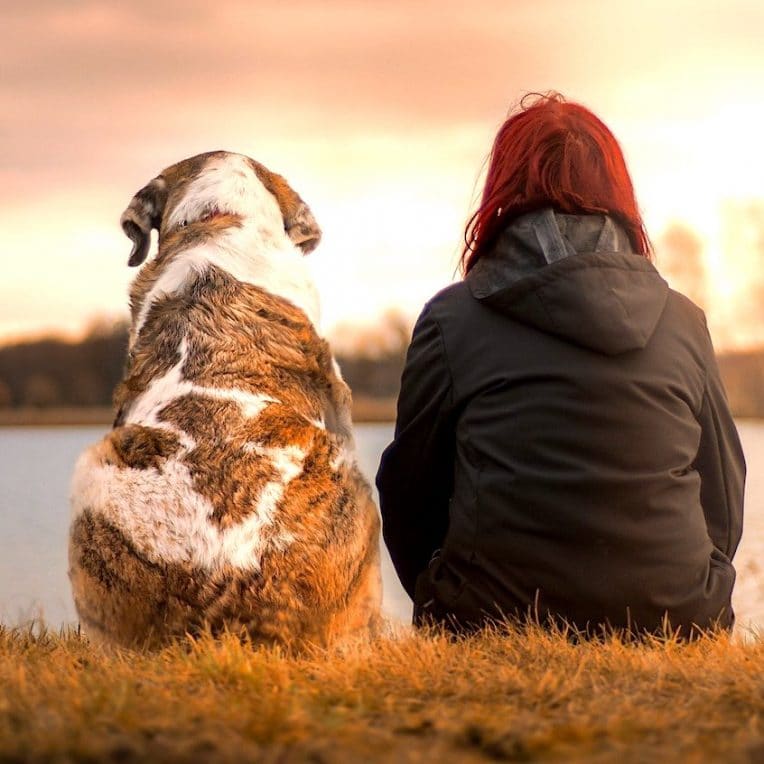 etude suggere comment prolonger naturellement vie chien