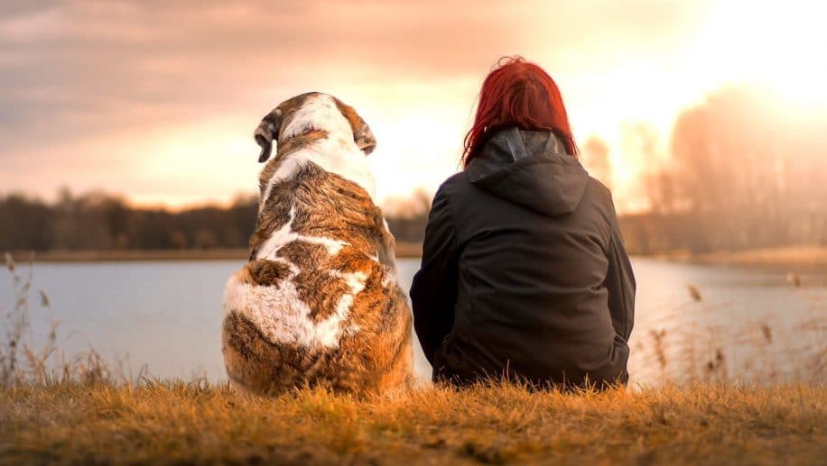 etude suggere comment prolonger naturellement vie chien
