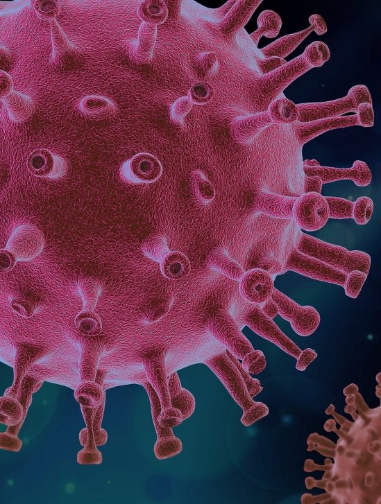 medicament antiviral origine vegetale efficace bloquer variant delta sars-cov-2