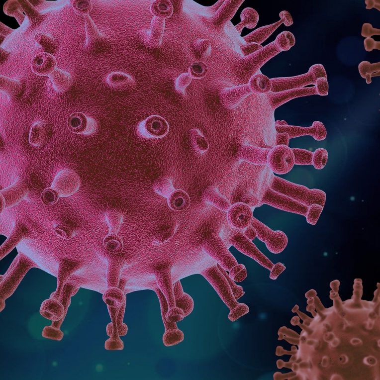medicament antiviral origine vegetale efficace bloquer variant delta sars-cov-2