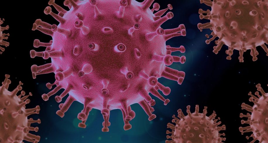 medicament antiviral origine vegetale efficace bloquer variant delta sars-cov-2