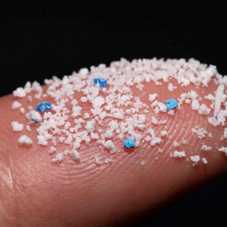 microplastiques penetrent cerveau souris