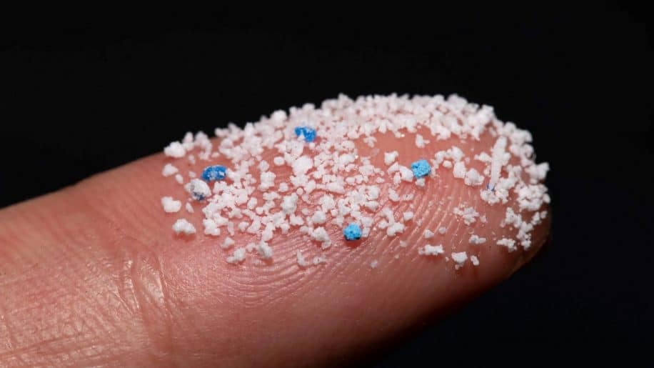 microplastiques penetrent cerveau souris
