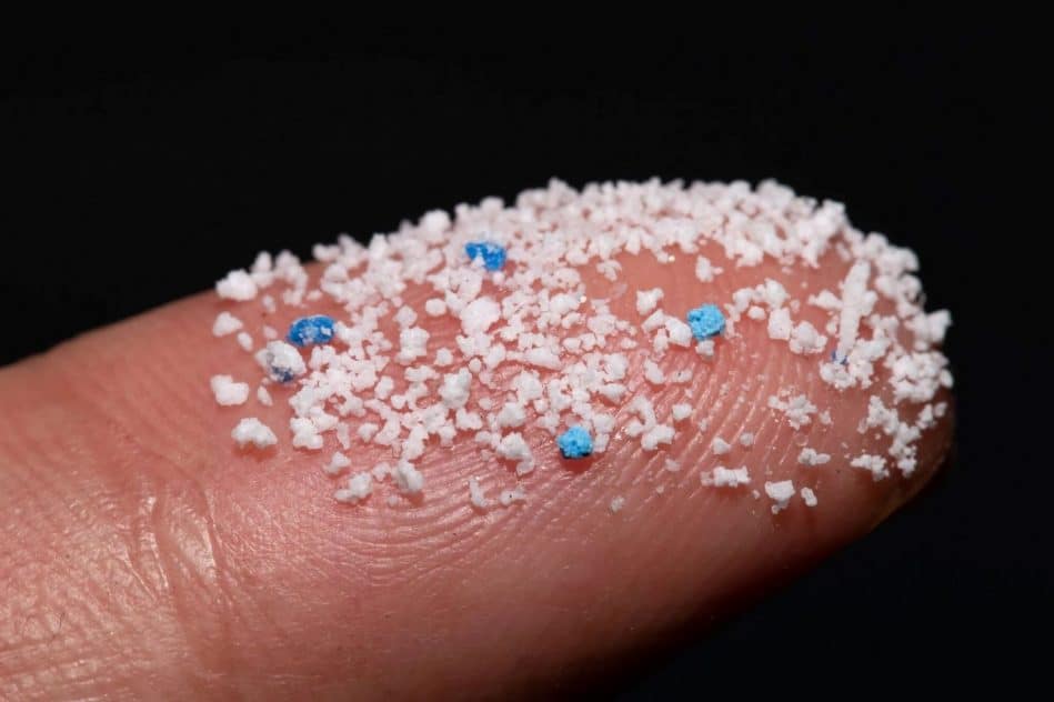 microplastiques penetrent cerveau souris