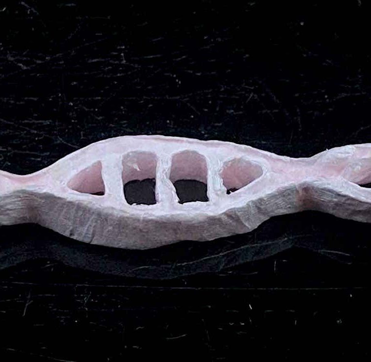 plastique adn biodegradable facilement recyclable