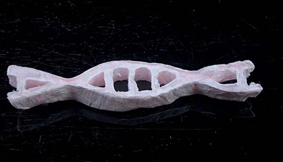 plastique adn biodegradable facilement recyclable
