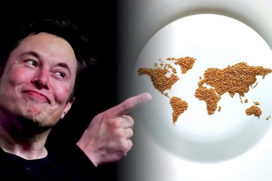 nations unies repondent provocation elon musk faim monde