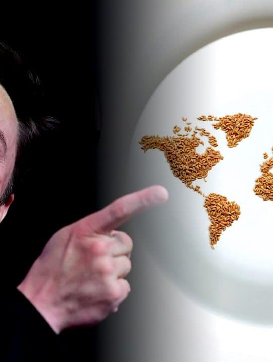 nations unies repondent provocation elon musk faim monde
