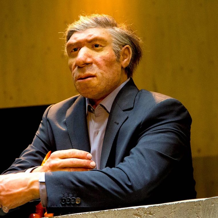 si neandertaliens ne s etaient pas eteints