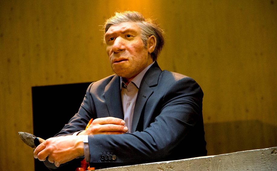si neandertaliens ne s etaient pas eteints