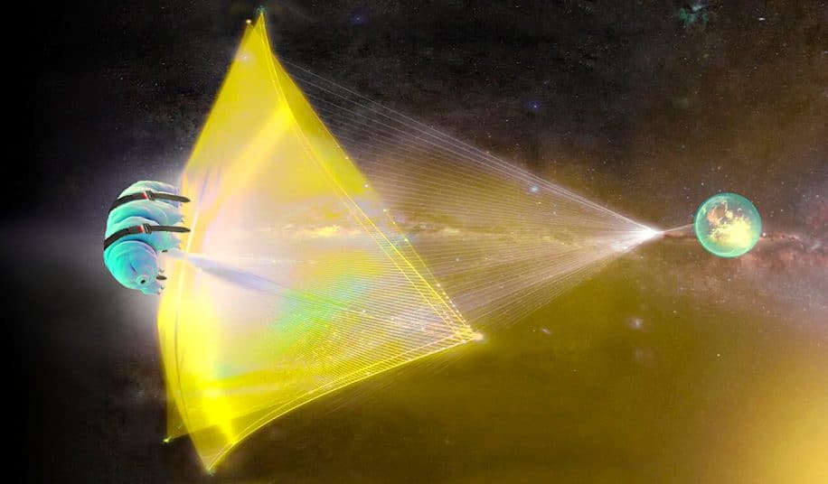 tardigrades pourraient etre premiers voyageurs interstellaires