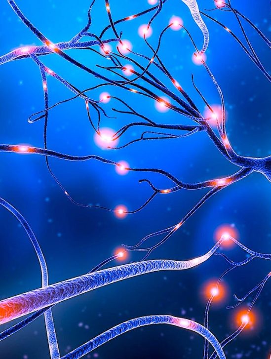 traitement vaccin alzheimer