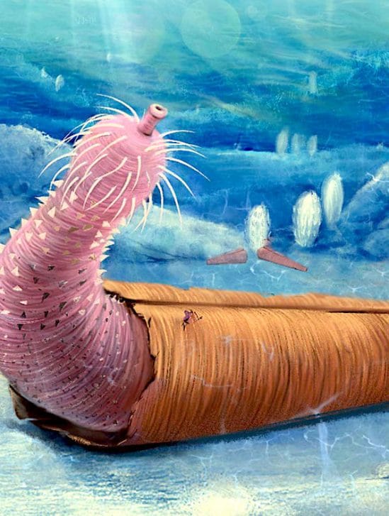 vers forme penis intelligent vivait comme-bernard l ermite 330 millions annees plus tot
