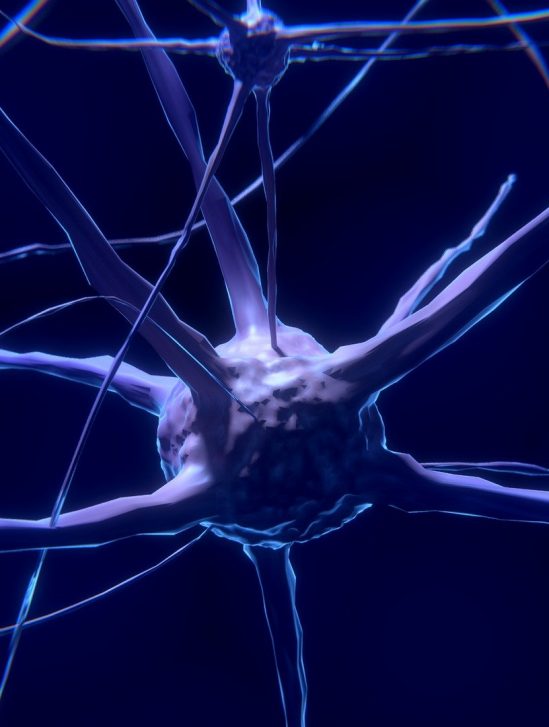 alzheimer chercheurs identifient cause potentielle maladie