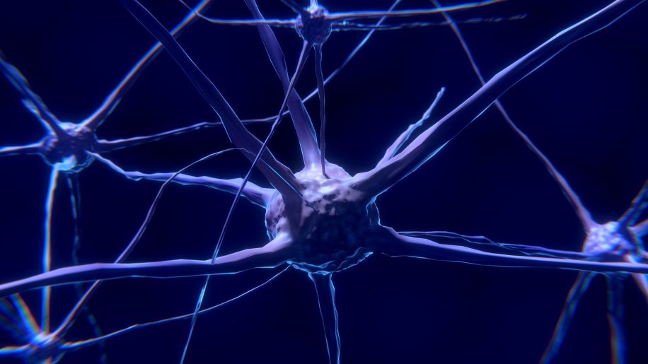 alzheimer chercheurs identifient cause potentielle maladie