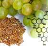 compose issu pepins raisin pourrait prolonger esperance-vie