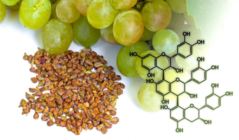 compose issu pepins raisin pourrait prolonger esperance-vie