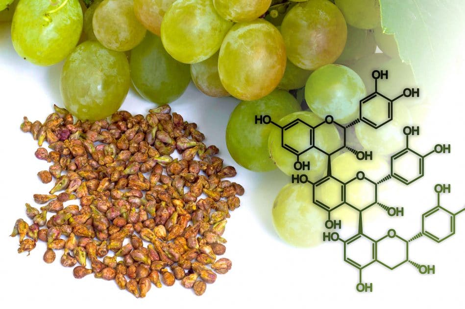 compose issu pepins raisin pourrait prolonger esperance-vie