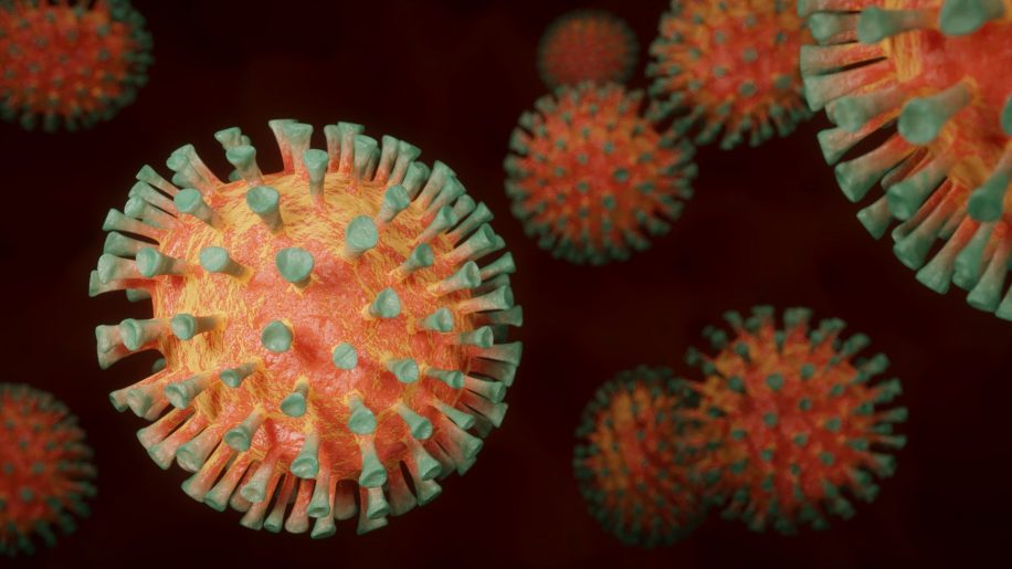 covid 19 molecule lie proteine pointe virus inhibe infection virale