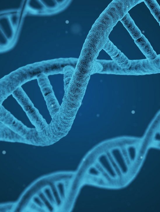 decouverte compose capable desactiver gene responsable metastases principaux cancers