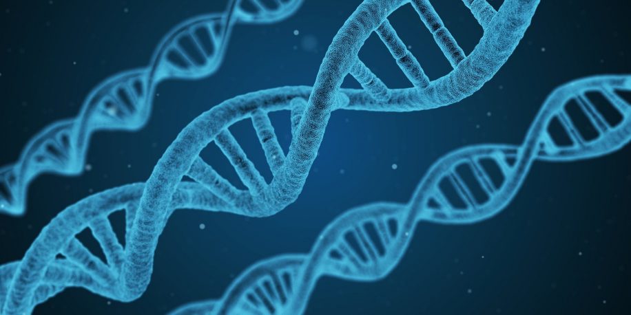 decouverte compose capable desactiver gene responsable metastases principaux cancers