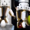 main robotique inspiree gecko