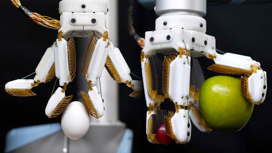 main robotique inspiree gecko