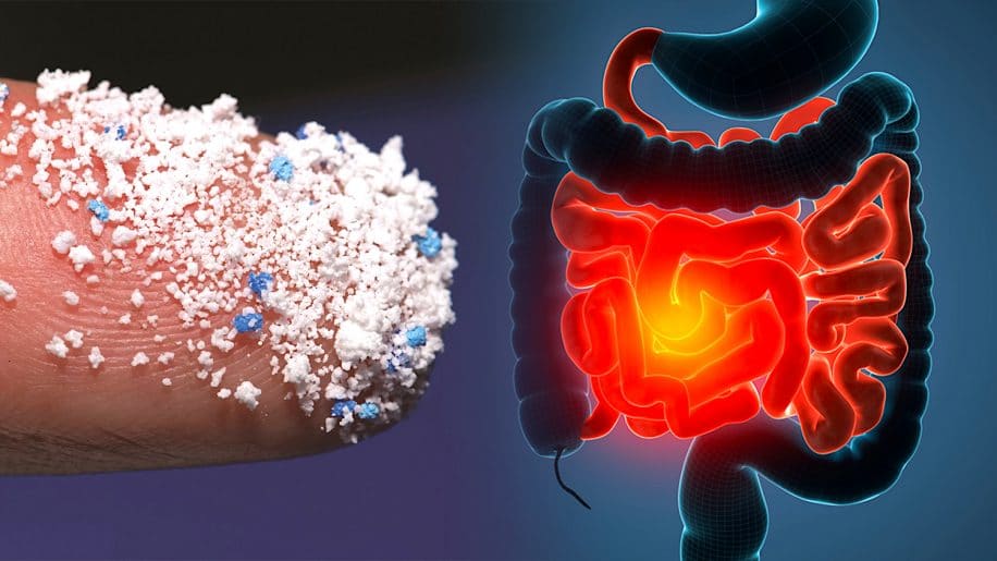 mici personnes atteintes davantage microplastiques selles