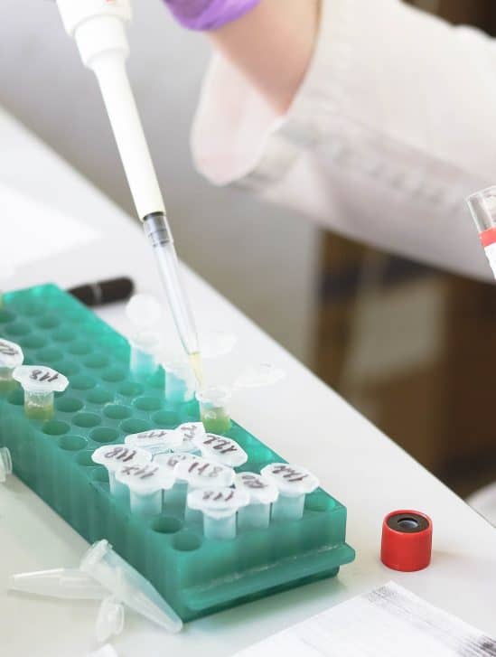 nouveau- vaccin eliminer cellules responsables vieillissement
