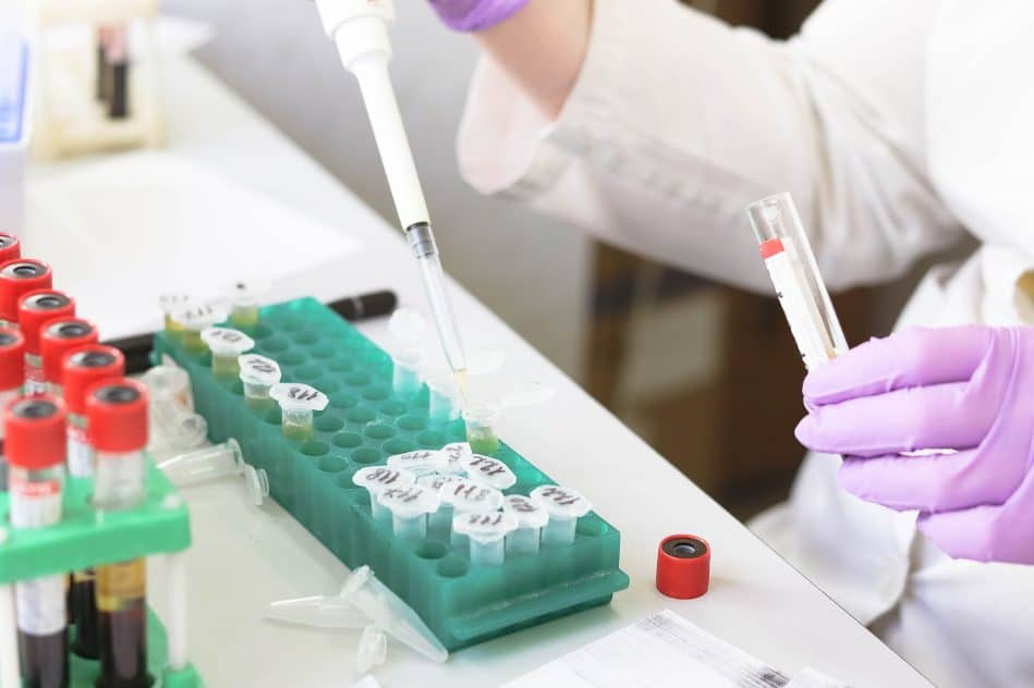 nouveau- vaccin eliminer cellules responsables vieillissement