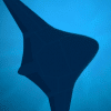 manta ray programme