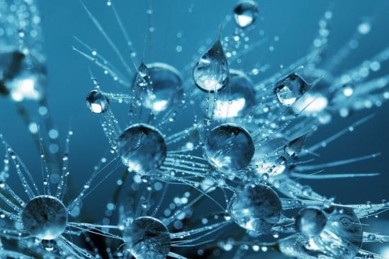 scientifiques observent liquides spin quantiques premiere fois